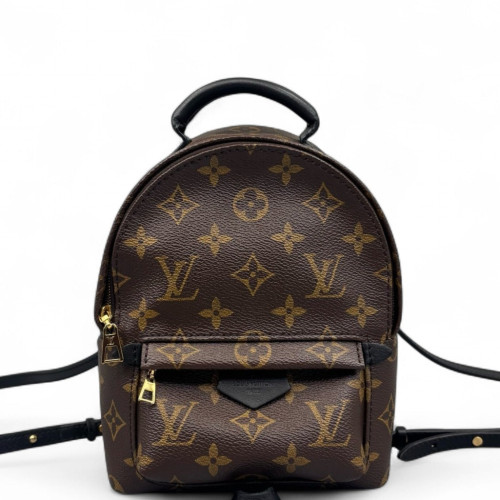 Louis Vuitton Palm Springs Backpack Mini Monogram Brown