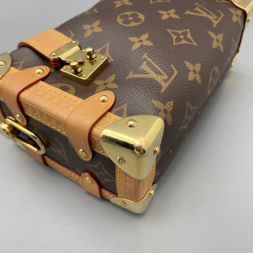 Louis Vuitton Side Trunk Pm Monogram Brown