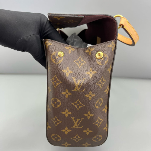 Louis Vuitton Cluny Mm Monogram Brown