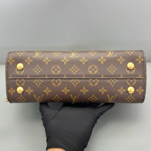 Louis Vuitton Cluny Mm Monogram Brown