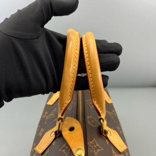 Louis Vuitton Speedy 25 Monogram Brown