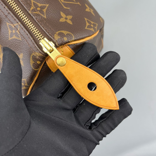 Louis Vuitton Speedy 25 Monogram Brown