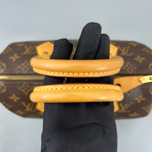 Louis Vuitton Speedy 25 Monogram Brown