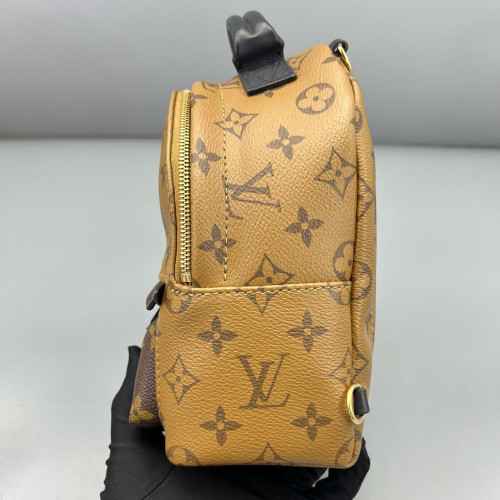 Louis Vuitton Palm Springs Backpack Mini Monogram Reverse Monogram Brown