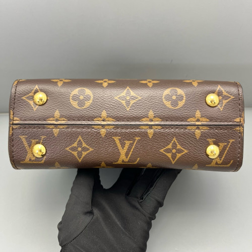 Louis Vuitton Cluny Mini Monogram Brown