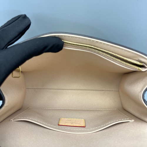 Louis Vuitton Cluny Mini Monogram Brown
