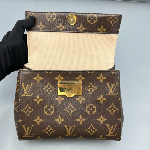 Louis Vuitton Cluny Mini Monogram Brown
