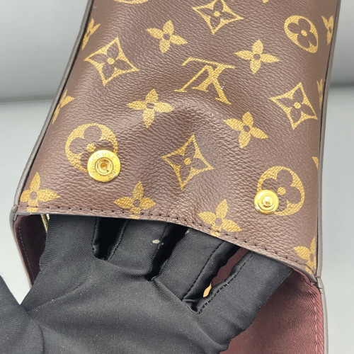 Louis Vuitton Cluny Mm Monogram Brown