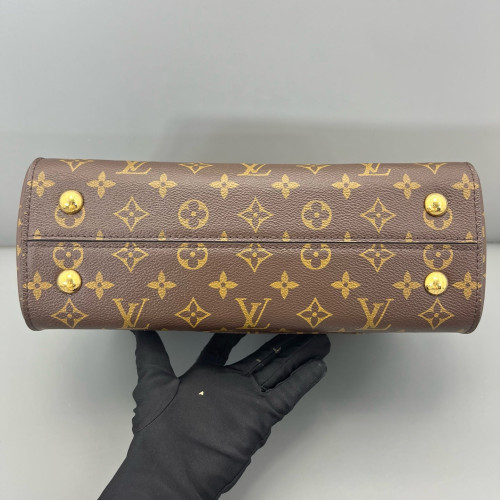Louis Vuitton Cluny Mm Monogram Brown