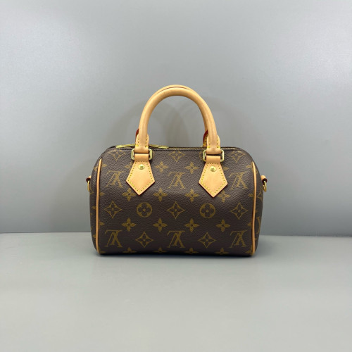 Louis Vuitton Speedy 20 Monogram Brown