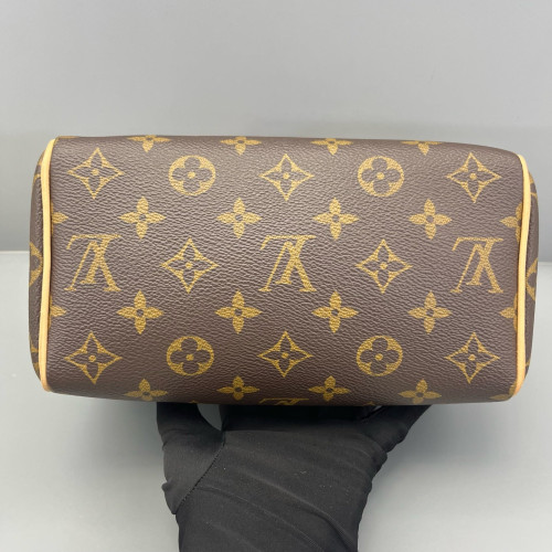 Louis Vuitton Speedy 20 Monogram Brown