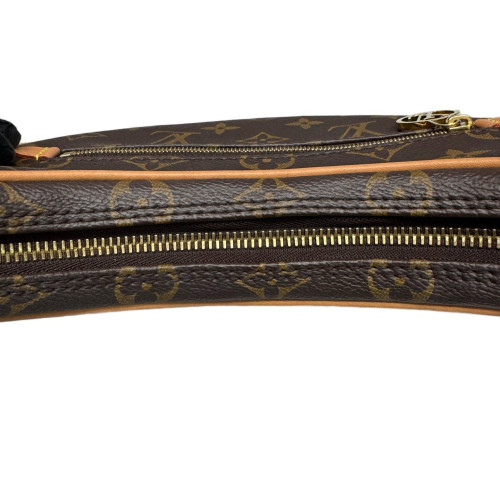 Louis Vuitton Loop Monogram Brown