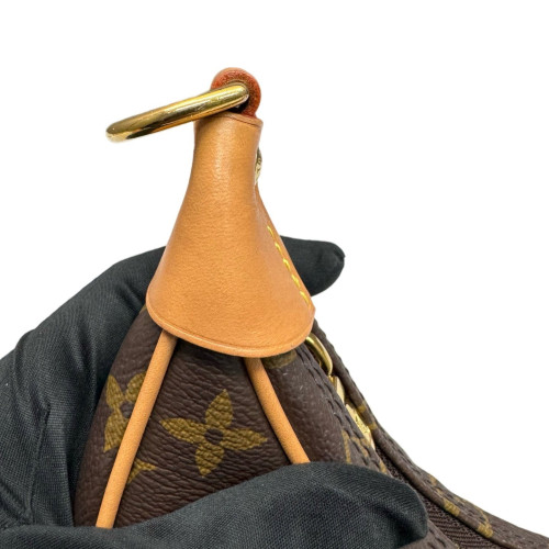 Louis Vuitton Loop Monogram Brown
