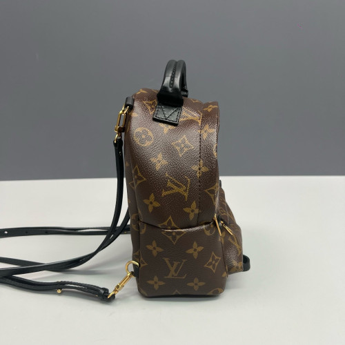 Louis Vuitton Palm Springs Backpack Mini Monogram Brown Black
