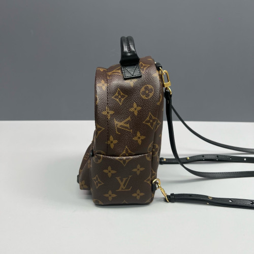 Louis Vuitton Palm Springs Backpack Mini Monogram Brown Black