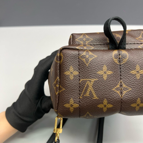 Louis Vuitton Palm Springs Backpack Mini Monogram Brown Black