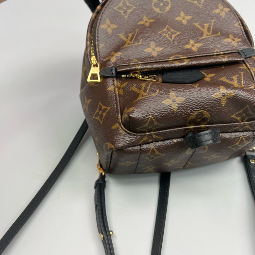 Louis Vuitton Palm Springs Backpack Mini Monogram Brown Black