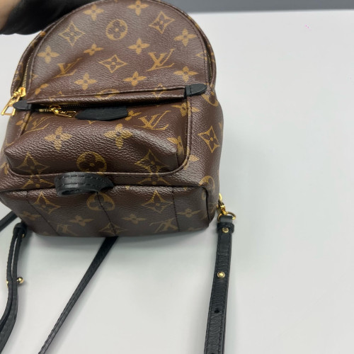 Louis Vuitton Palm Springs Backpack Mini Monogram Brown Black