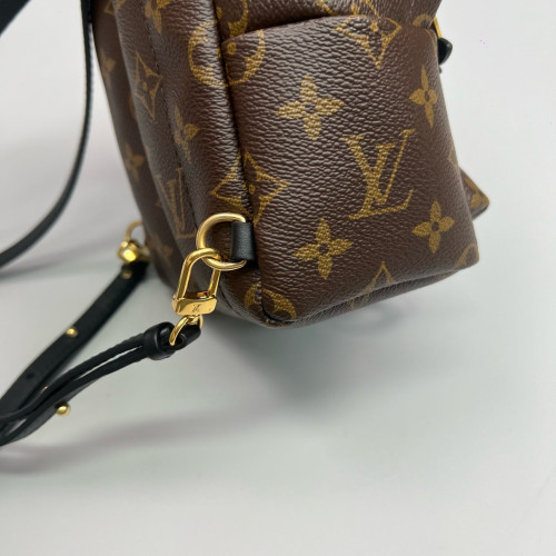 Louis Vuitton Palm Springs Backpack Mini Monogram Brown Black
