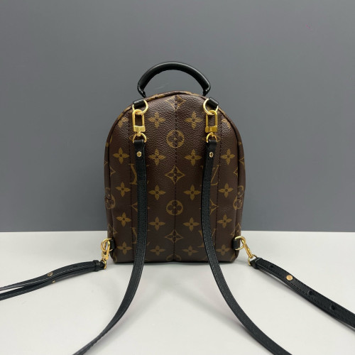 Louis Vuitton Palm Springs Backpack Mini Monogram Brown Black