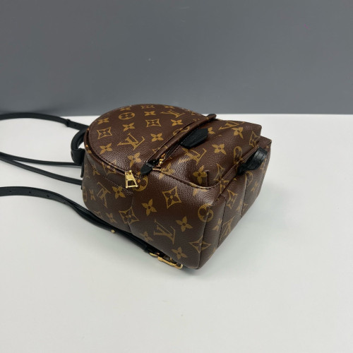 Louis Vuitton Palm Springs Backpack Mini Monogram Brown Black