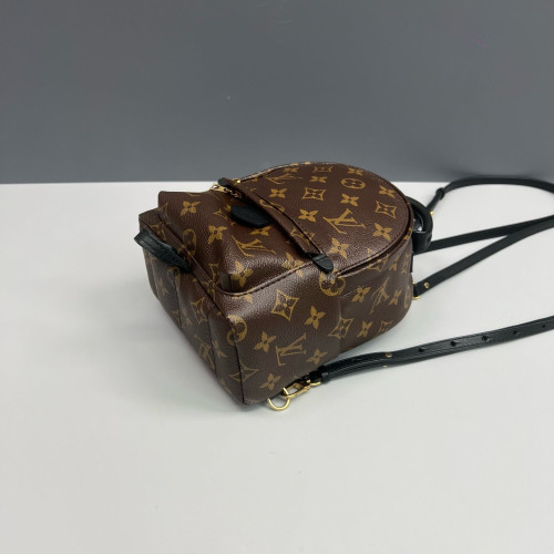 Louis Vuitton Palm Springs Backpack Mini Monogram Brown Black