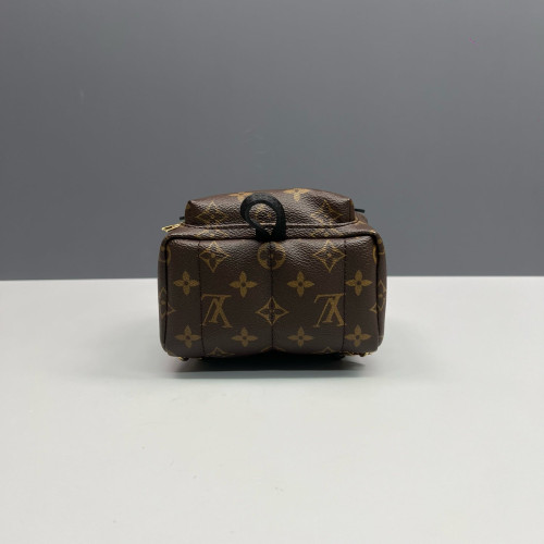 Louis Vuitton Palm Springs Backpack Mini Monogram Brown Black