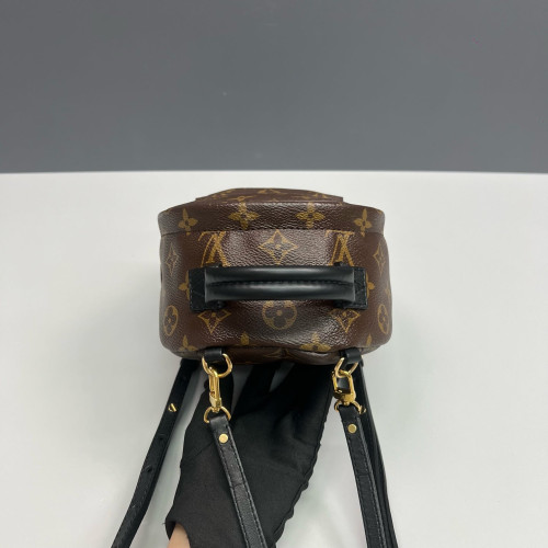 Louis Vuitton Palm Springs Backpack Mini Monogram Brown Black