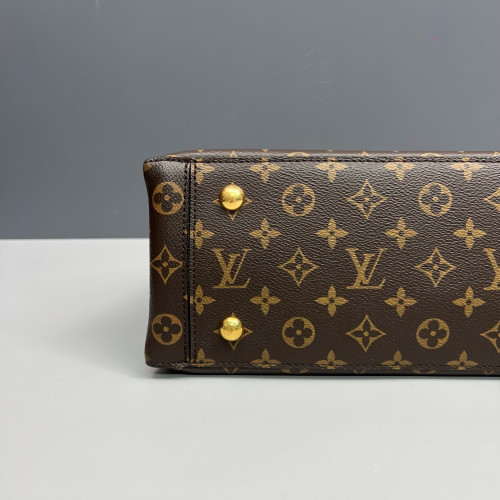 Louis Vuitton Flower Tote Monogram Brown Black