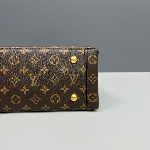 Louis Vuitton Flower Tote Monogram Brown Black