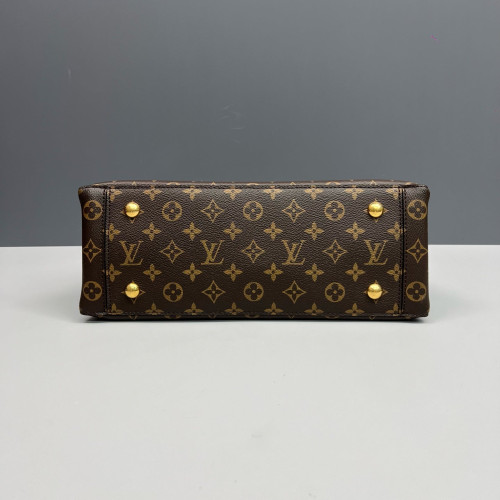 Louis Vuitton Flower Tote Monogram Brown Black