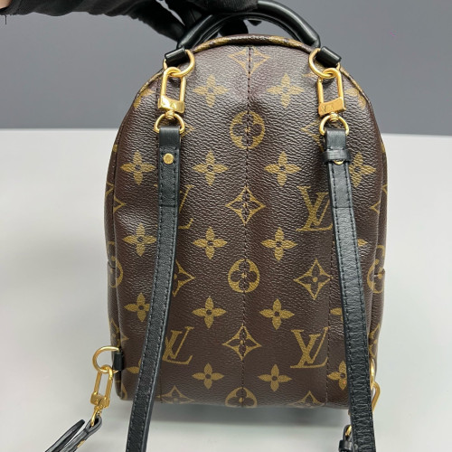 Louis Vuitton Palm Springs Backpack Mini Monogram Brown Black