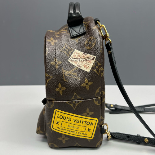 Louis Vuitton Palm Springs Backpack Mini Monogram Brown Black