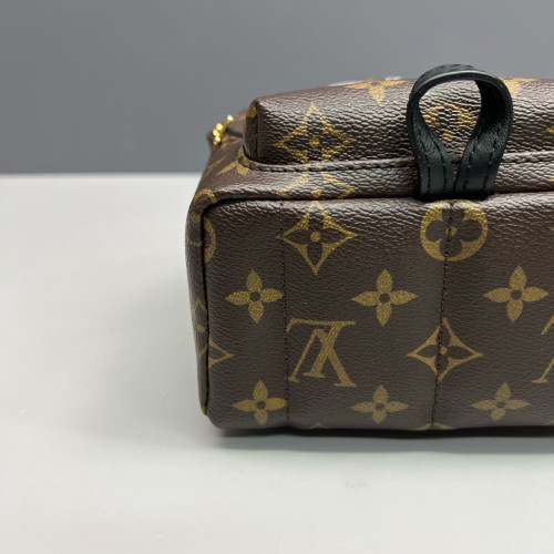 Louis Vuitton Palm Springs Backpack Mini Monogram Brown Black