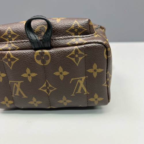 Louis Vuitton Palm Springs Backpack Mini Monogram Brown Black