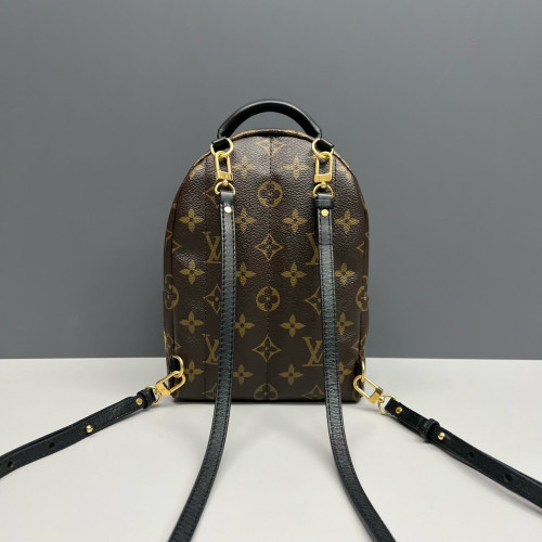 Louis Vuitton Palm Springs Backpack Mini Monogram Brown Black