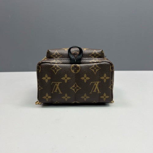 Louis Vuitton Palm Springs Backpack Mini Monogram Brown Black