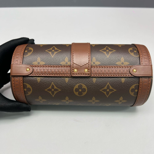 Louis Vuitton Papillon Trunk Monogram Brown
