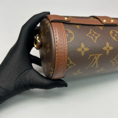 Louis Vuitton Papillon Trunk Monogram Brown