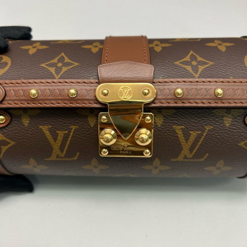 Louis Vuitton Papillon Trunk Monogram Brown