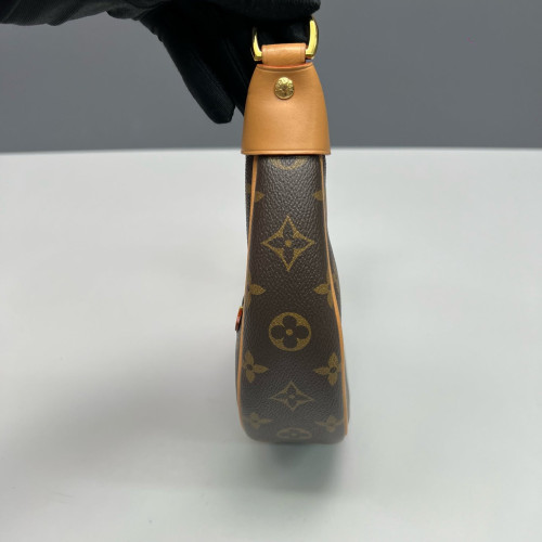 Louis Vuitton Loop Monogram Brown