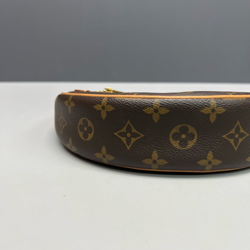 Louis Vuitton Loop Monogram Brown