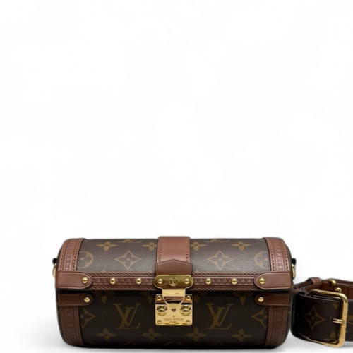 Louis Vuitton Papillon Trunk Monogram Brown