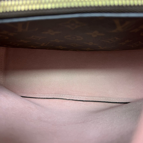 Louis Vuitton Neonoe MM Monogram Brown
