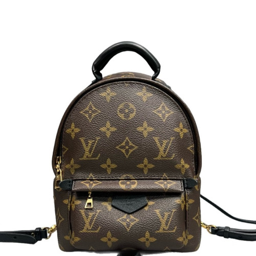 Louis Vuitton Palm Springs Backpack Mini Monogram Brown