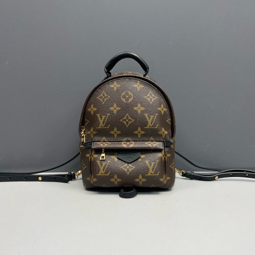Louis Vuitton Palm Springs Backpack Mini Monogram Brown