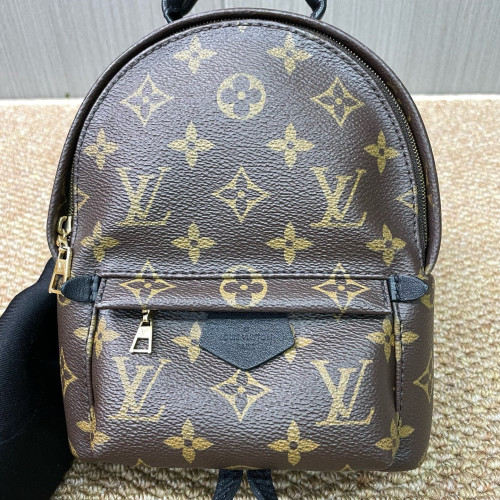 Louis Vuitton Palm Springs Backpack Mini Monogram Brown