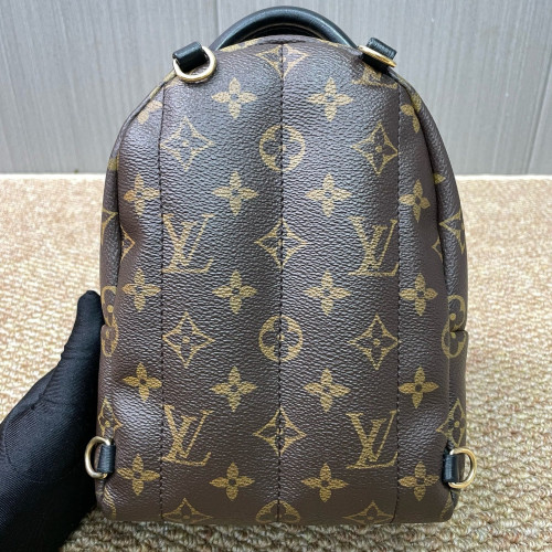Louis Vuitton Palm Springs Backpack Mini Monogram Brown