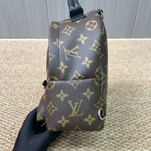 Louis Vuitton Palm Springs Backpack Mini Monogram Brown