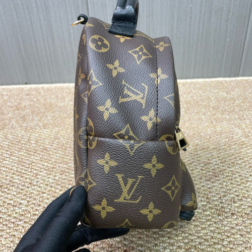 Louis Vuitton Palm Springs Backpack Mini Monogram Brown